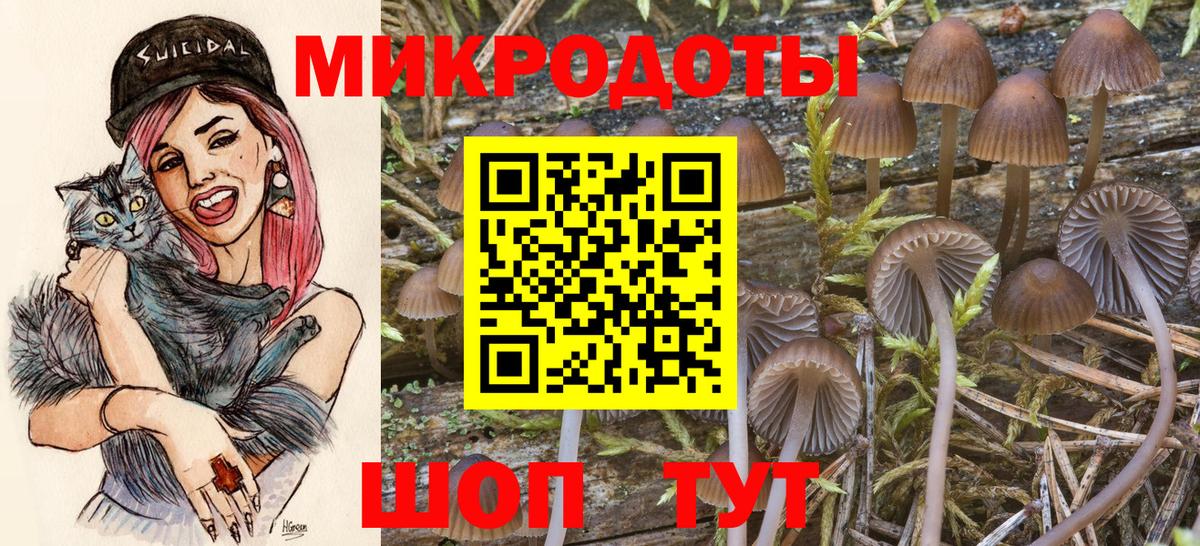 Галлюциногенные грибы прущие грибы Кимры