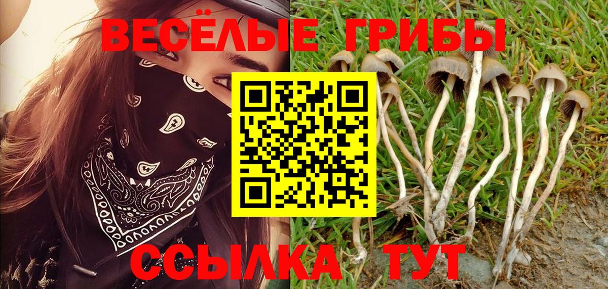 Галлюциногенные грибы Cubensis  Вход с VPN  Галлюциногенные грибы мицелий  Кимры 
